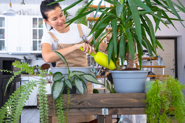 Similar image 22428519