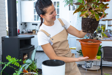 Similar image 22428521