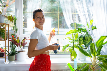 Similar image 22428526