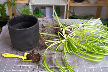 Similar image 22428527