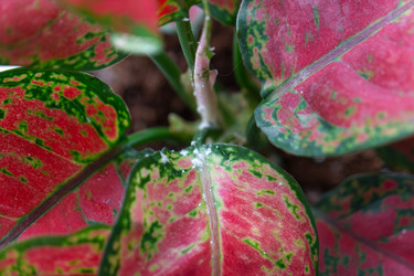 Similar image 22428530