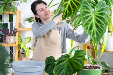 Similar image 22428531