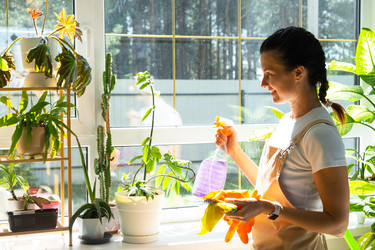 Similar image 22423156