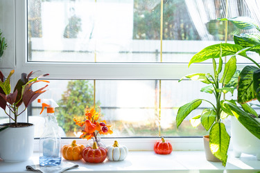 Similar image 22423161