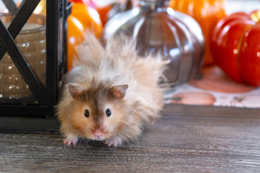 Similar image 22423176