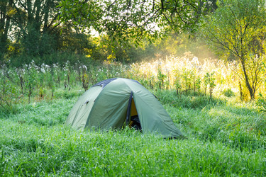 Similar image 22423178