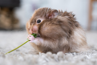 Similar image 22423180