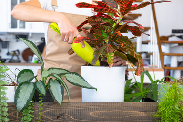 Similar image 22425111