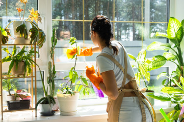 Similar image 22425113