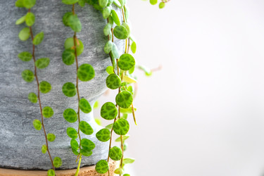 Similar image 22423184