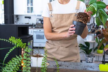 Similar image 22425114