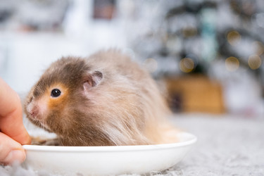 Similar image 22423185