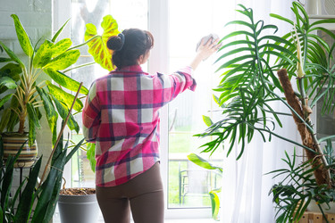 Similar image 22428533