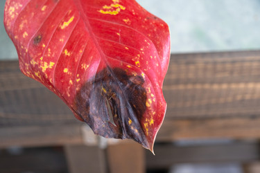 Similar image 22428536