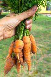 Similar image 22428550