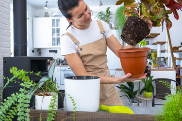 Similar image 22428603