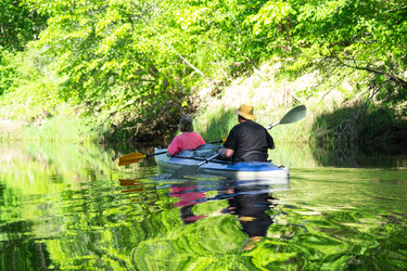 Similar image 22439150