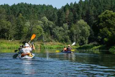 Similar image 22428607