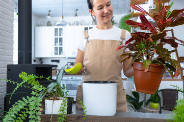 Similar image 22429950