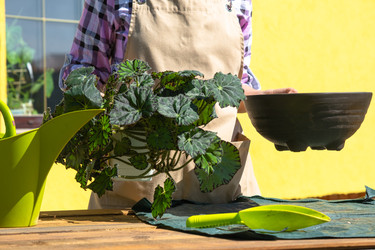 Similar image 22429952