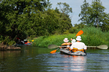 Similar image 22429954