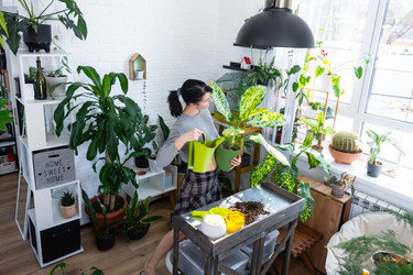 Similar image 22429958