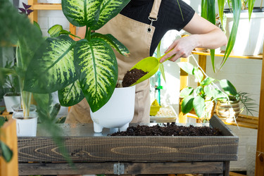 Similar image 22429964