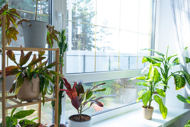 Similar image 22429965