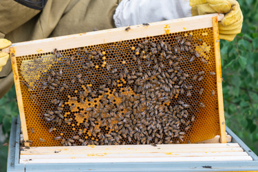 Similar image 22429966