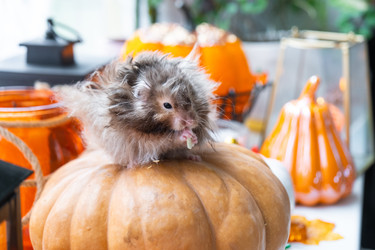 Similar image 22429977