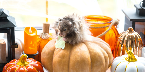 Similar image 22429979