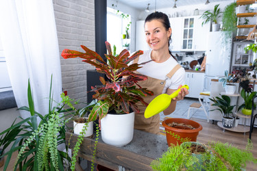 Similar image 22429984