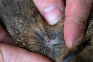 Similar image 22429986