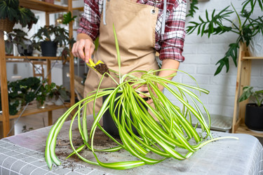 Similar image 22429987