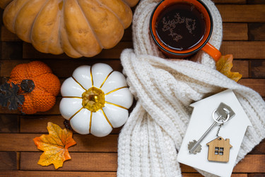 Similar image 22429989