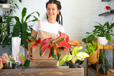 Similar image 22429990