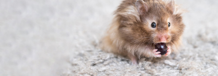 Similar image 22429992