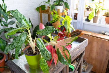 Similar image 22429999