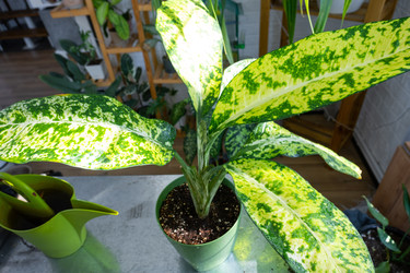 Similar image 22430000