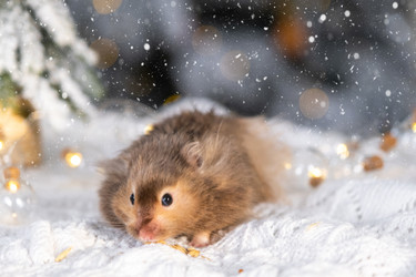 Similar image 22430012