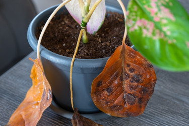 Similar image 22430018