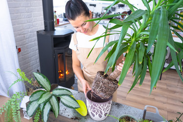 Similar image 22430024