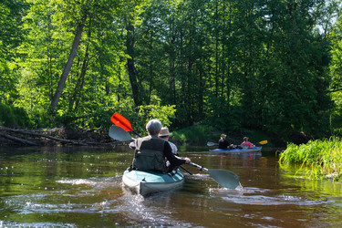 Similar image 22430029