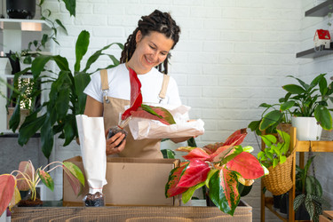 Similar image 22430030