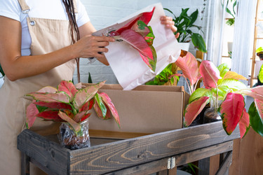 Similar image 22430031