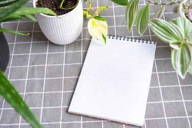 Similar image 22430032