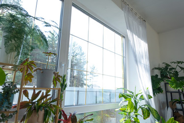 Similar image 22430035