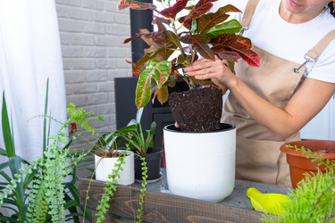 Similar image 22430037