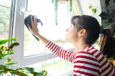 Similar image 22430047