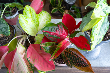 Similar image 22430049